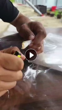 出售纯PET膜，现货20吨