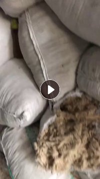 长期出售织布厂废棉纱，汽流纺涤棉边纱，现货300吨左右