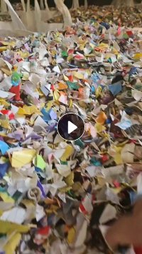 出售花乙破碎料，清洗甩干过风选，月供1000多吨