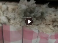 出售古绵，开松棉，货在江苏连云港