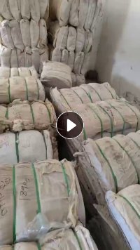 出售环锭纺纯棉粉尘，现货30吨左右