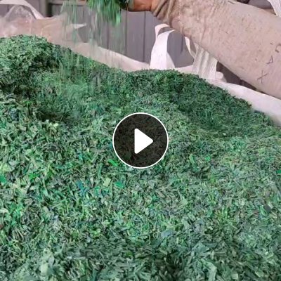 出售水粉PET打包带破碎料，现货20吨