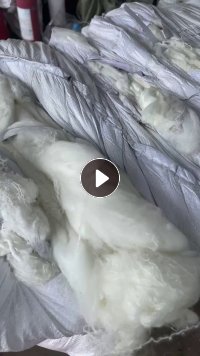 出售开松好的棉，弹丝棉，棉，现货40吨