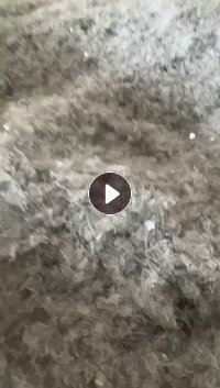 PET吸塑盒粉碎料长期出售，A级和B级的都有，月供100多吨