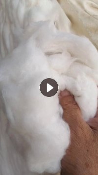 出售牛仔布开花棉，含棉70左右，货在山东菏泽，现货有40吨左右