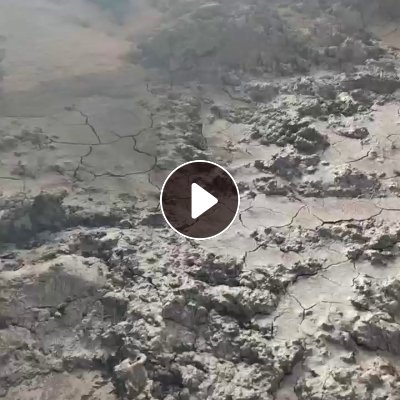 长期出售除尘灰，铁含量50以上，锌含量1个左右