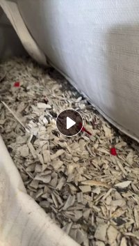 长期出售硬质pvc塑钢破碎料，现货10几吨