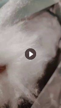 出售再生棉，涤纶开的，化纤开松棉