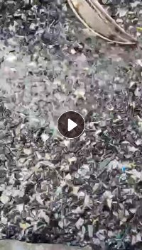 出售PP托盘破碎料，花丙破碎料，垃圾桶破碎料，现货20吨