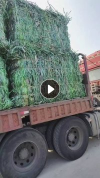 长年现金求购绿色，黑色聚酯打包，聚丙打包带，货好价高