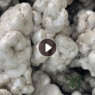 出售泡沫热熔块