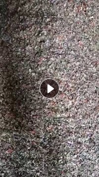 花色壁纸粉碎料，有十吨，出售