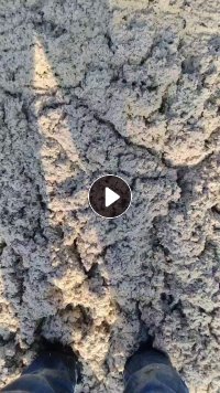 出售淋膜纸膜洗下来的纸浆，含水68