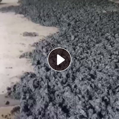 出售制冷设备出来的炼油料，油含量30，铝销和铝粉65左右