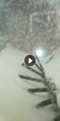 常年大量收购羽绒服，月需100吨