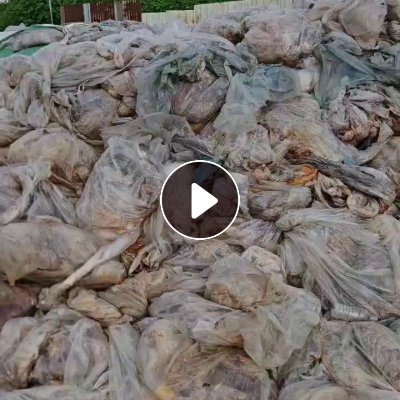 出售PE地膜，现货300吨，可造粒