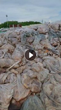 出售PE地膜，现货300吨，可造粒