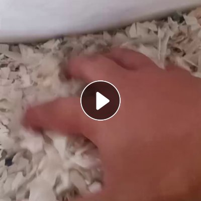 大小白破碎料长期出售，月产200吨