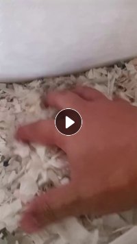 大小白破碎料长期出售，月产200吨