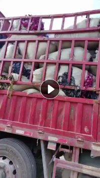 出售涤纶，防雨绸拉枝绳，吊秧捆菜，涤纶布边