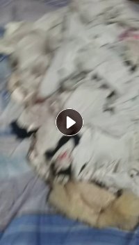 长期出售旧衣服分拣货，夏装B类，旧衣服大白料等，货在福建政和