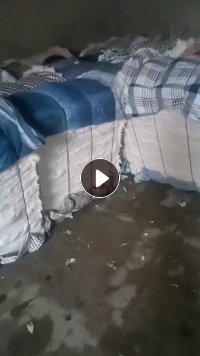 出售优质再生棉,褪色牛仔布开花棉,生料开的,牛仔再生棉