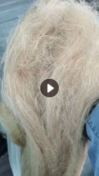长期出售纺织厂下脚料孟加拉国的黄麻,货在江苏常州