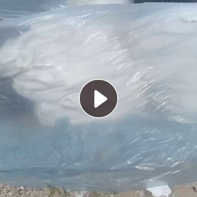 出售PE电池膜，单涂层的，现货一挂车