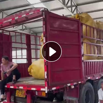 出售毛绒玩具，有全新，有精品，都是30公分以内的，够一车6.8