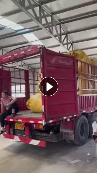 出售毛绒玩具，有全新，有精品，都是30公分以内的，够一车6.8