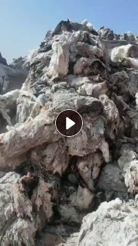 长期大量求购火烧棉,水淹棉,涤纶,短纤维,粘胶,天丝等残缺纺织原料