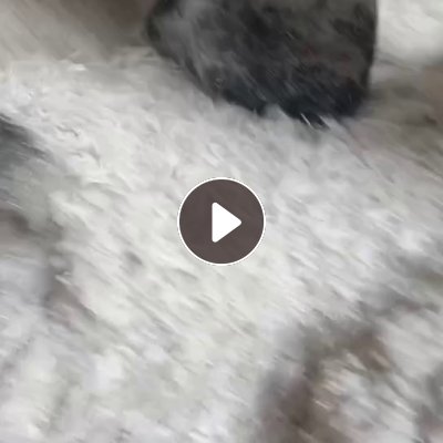 出售废电缆皮，电缆填充绳加工粉碎的破碎料，下沉丙烯，现货有80吨。