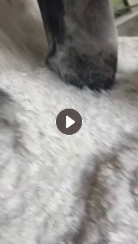 出售废电缆皮，电缆填充绳加工粉碎的破碎料，下沉丙烯，现货有80吨。