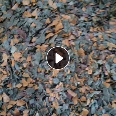 出售PP汽车内饰破碎料