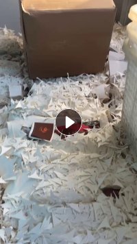 大量出售口杯纸边料，有纯白和小花