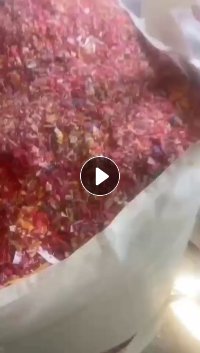 出售优质红丙,清洗甩干,过风选,现货一挂车!