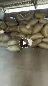 出售白色纯PP无纺布边料，已压包