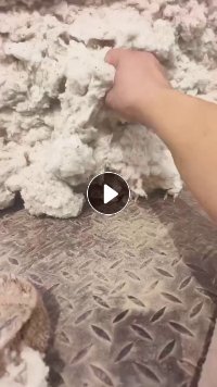 出售车肚棉，气流纺，纺纱，纯棉，纺10支，14支，长期有货