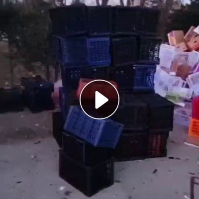 出售水果筐毛料，月供三十多吨