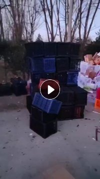 出售水果筐毛料，月供三十多吨