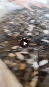 出售4s店的pp保险杠破碎料，水洗甩干除铁没有过盐，现货一挂车