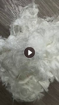 长期出售涤纶干丝，白色，月供七八十吨