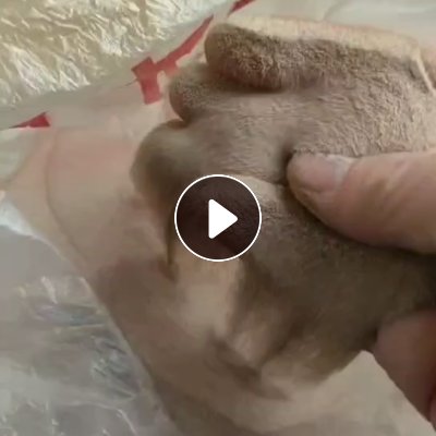 出售扫地料，月供两三百吨