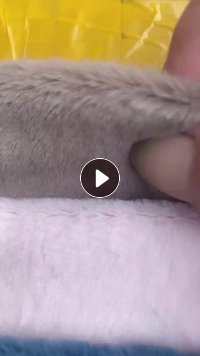 出售玉兔绒库存布，门幅1.75吗，货在江苏苏州