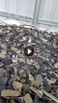 出售汽车内饰破碎料，现货20多吨，保险杠破碎料，现货40多吨，清洗甩干