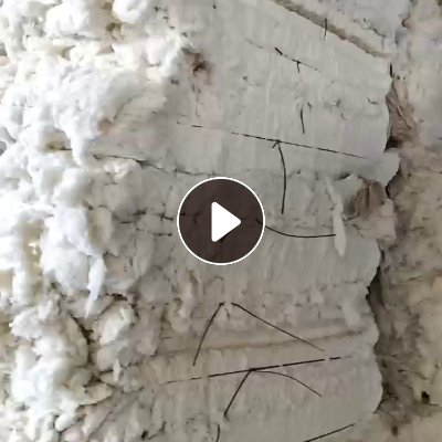 长期大量出售纯棉车肚棉，现货9.6米一车