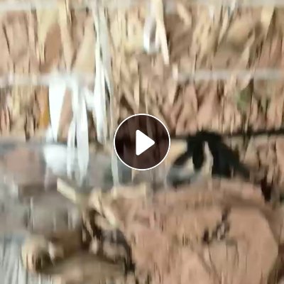 出售无膜牛皮纸边料