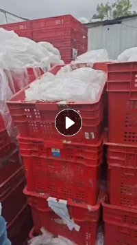 出售缠绕膜，可直接上机