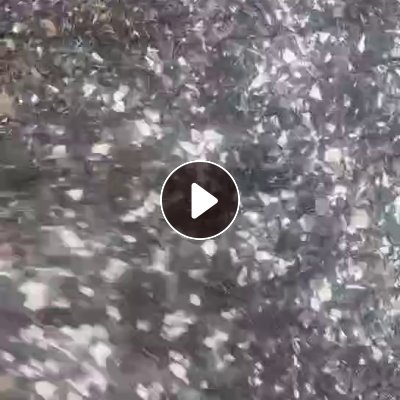 求购复合PET破碎料