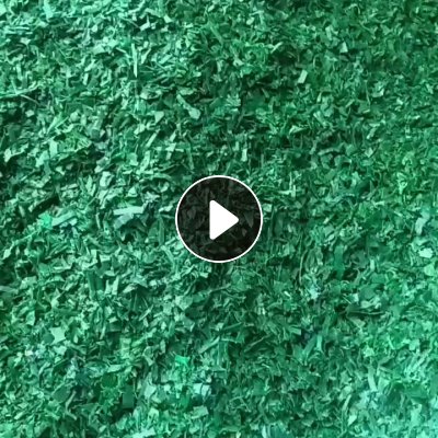 出售绿色PET打包带破碎料，干粉的现货200吨